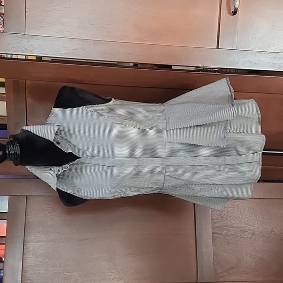 WHBM Sleeveless Gray & White Striped Peplum Poplin Shirt Size 6 - Picture 4 of 8